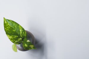 AI記事作成サポート事例|専門知識をブログ記事として蓄積
